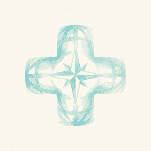 قيادة دولية